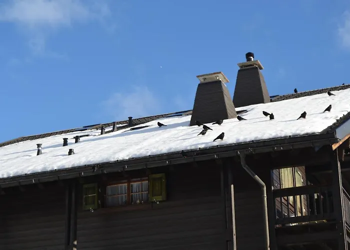 Appartement Le Petit Refuge - Lupins