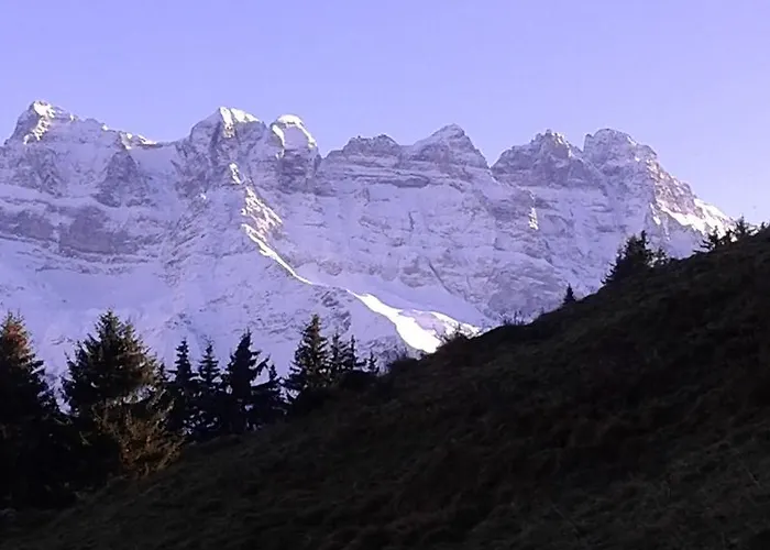 Appartement Le Petit Refuge - Lupins
