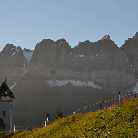 Daire Le Petit Refuge - Lupins *